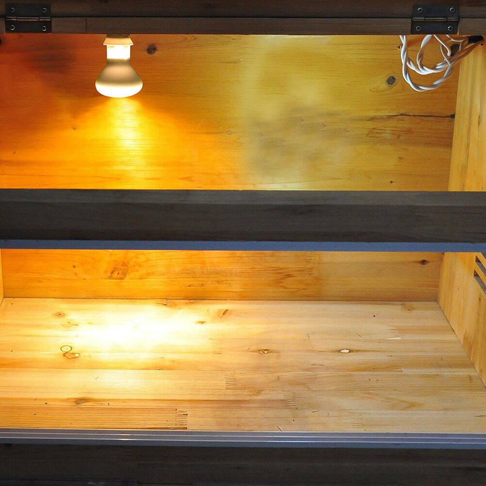 Lizard Heater Temperature Cont – Basking Bulb Halogen recenzja i cena