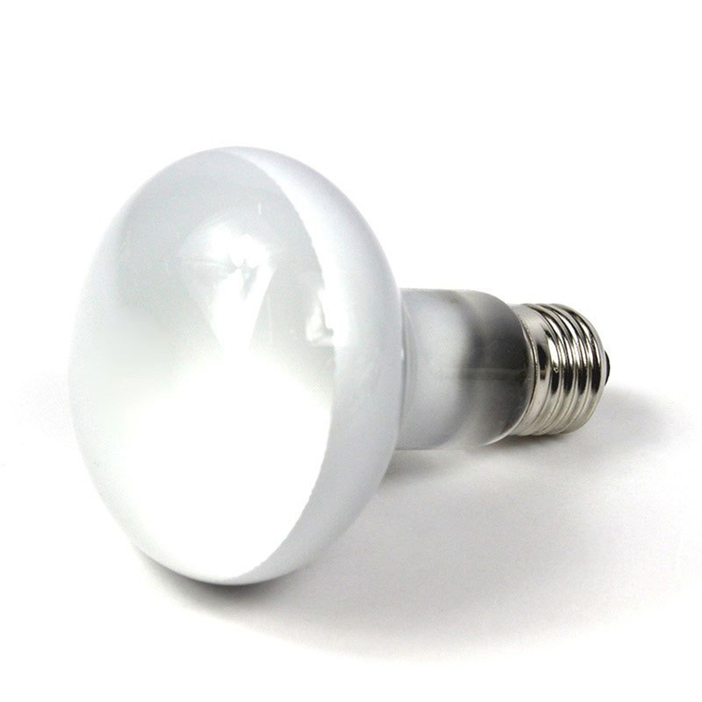 Lizard Heater Temperature Cont – Basking Bulb Halogen recenzja i cena