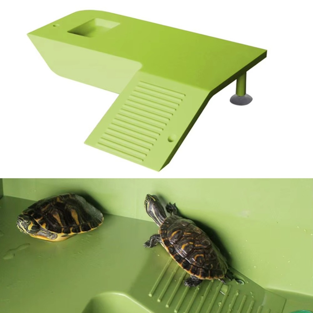 Water Land Slope Box Feeding C – Water Dish Reptile recenzja i cena