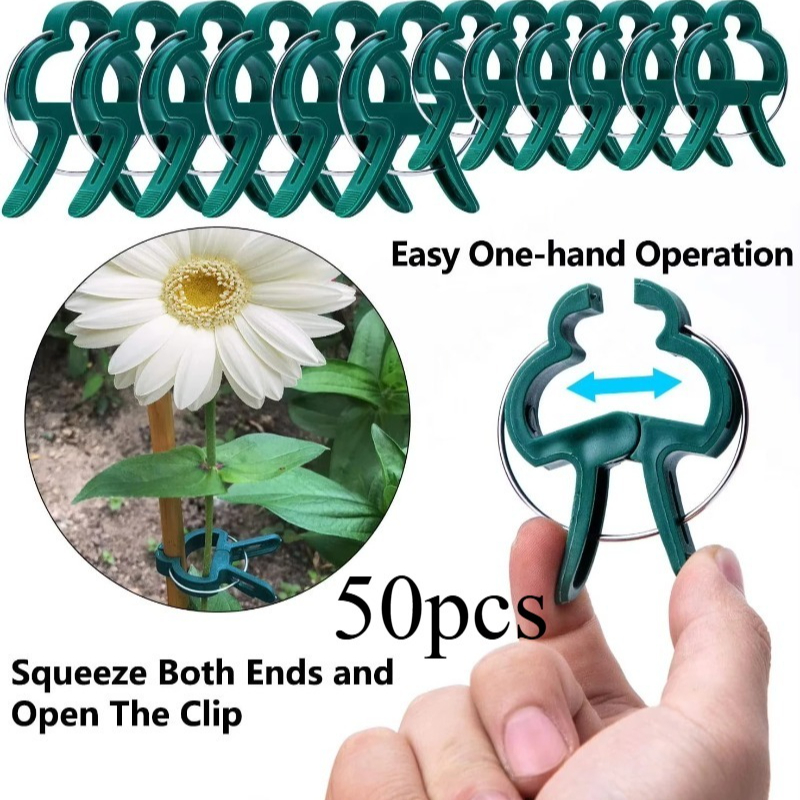50 Reusable Plant Fixed Clips, – Vine Climbing Plastic recenzja i cena