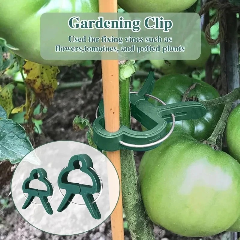 50 Reusable Plant Fixed Clips, – Vine Climbing Plastic recenzja i cena