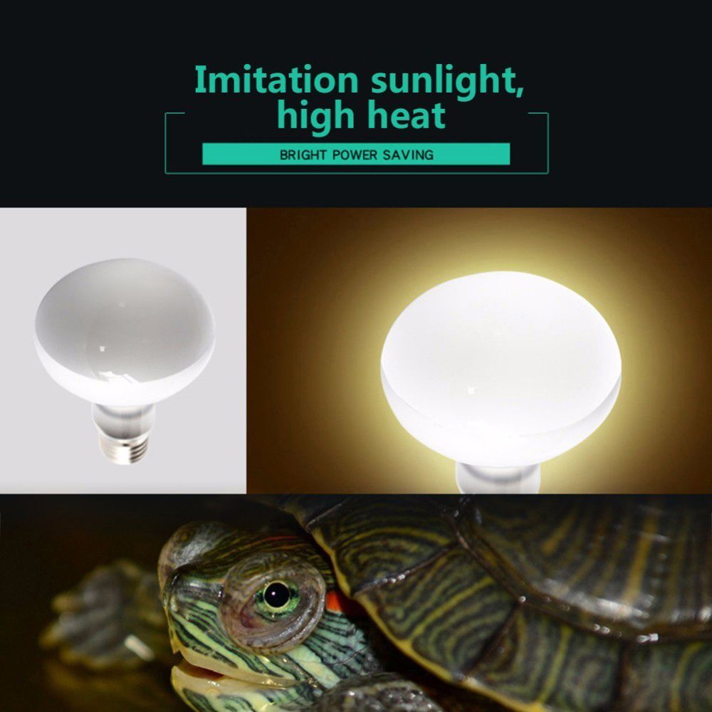 Amphibians Heat Lamp Temperatu – Basking Bulb Halogen recenzja i cena