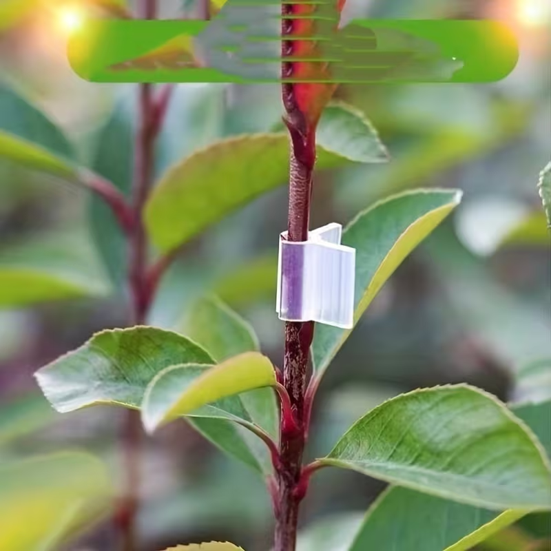 50pcs Agriculture Grafting Cli – Vine Climbing Plastic recenzja i cena