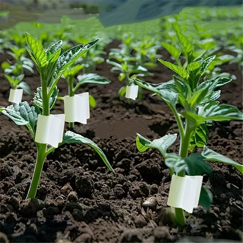 50pcs Agriculture Grafting Cli – Vine Climbing Plastic recenzja i cena