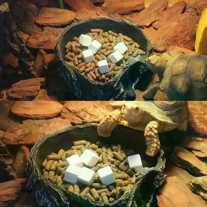 Slow Release Calcium Mineral B – Calcium Powder Reptile recenzja i cena
