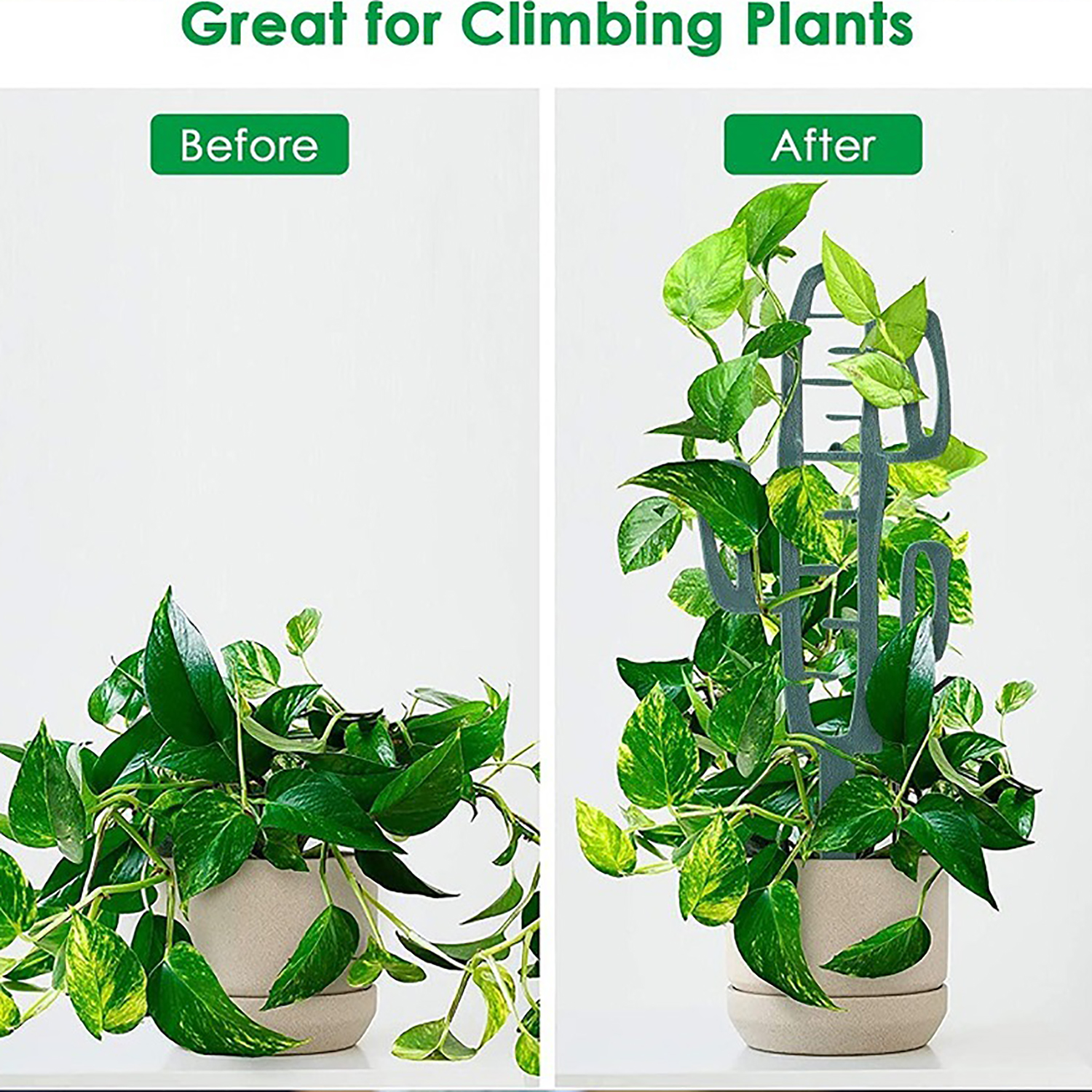 Plant Climbing Support Stand F – Vine Climbing Plastic recenzja i cena
