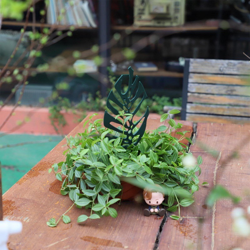 Plant Climbing Support Stand F – Vine Climbing Plastic recenzja i cena