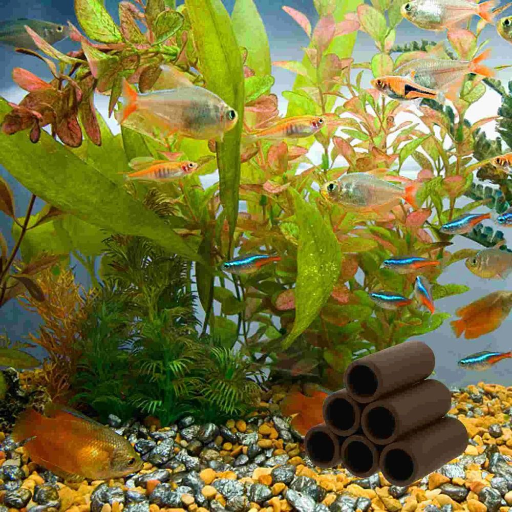 Playing Breeding Spawning Aqua – Hide Cave Ceramic recenzja i cena