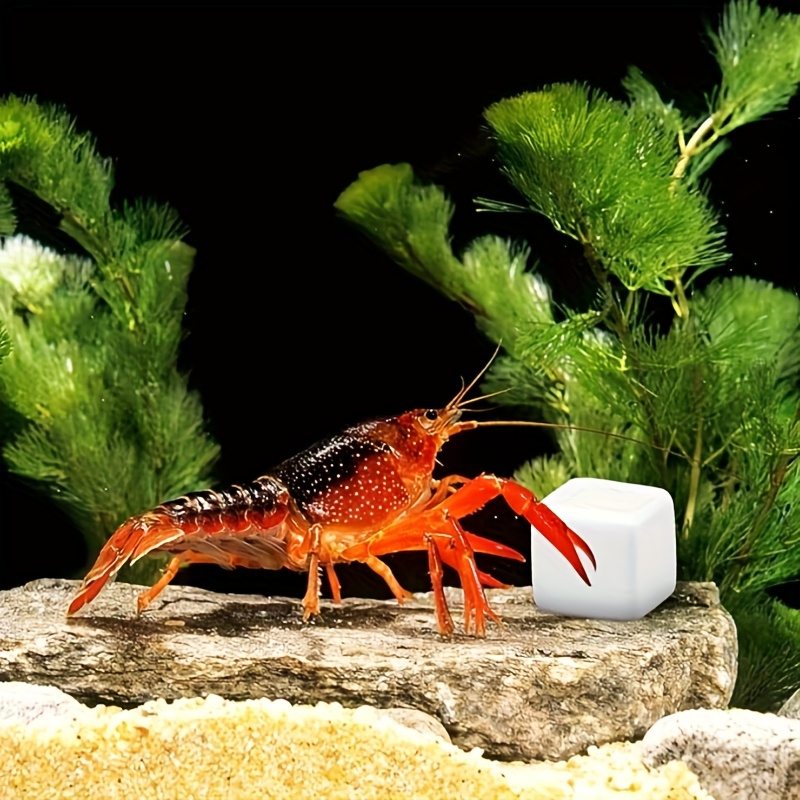 6 Pcs Fish Tank Calcium Block  – Calcium Powder Reptile recenzja i cena