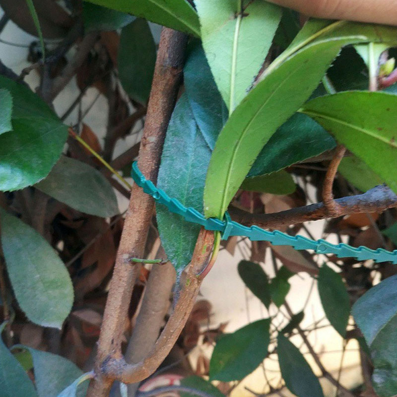 13cm Adjustable Plastic Plant  – Vine Climbing Plastic recenzja i cena