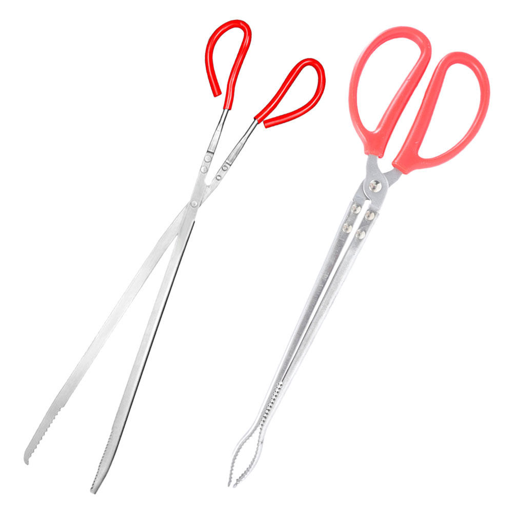 2Pcs Stainless Steel Snake Ton – Feeding Tong Stainless recenzja i cena