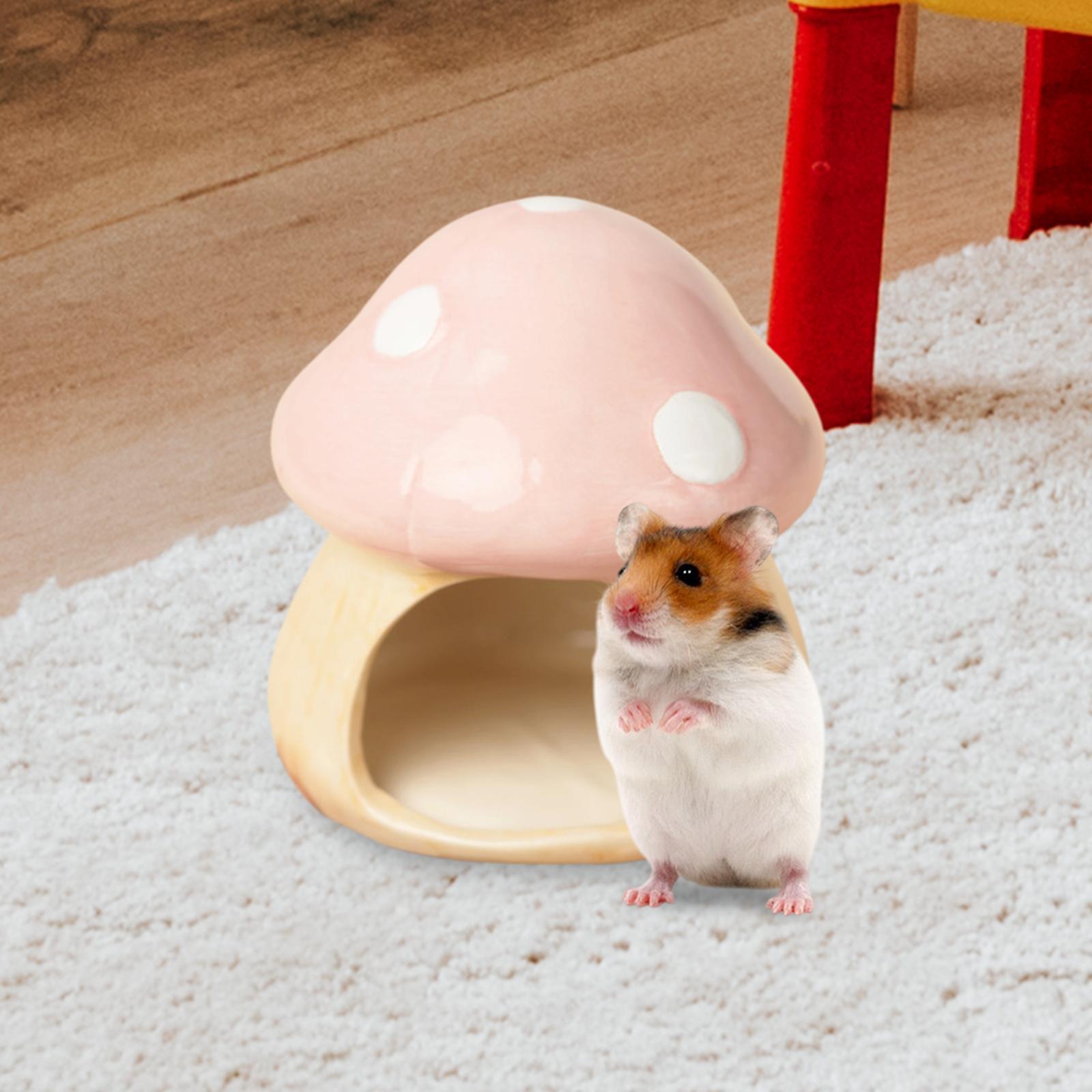Ceramic Mushroom Hamster Hideo – Hide Cave Ceramic recenzja i cena