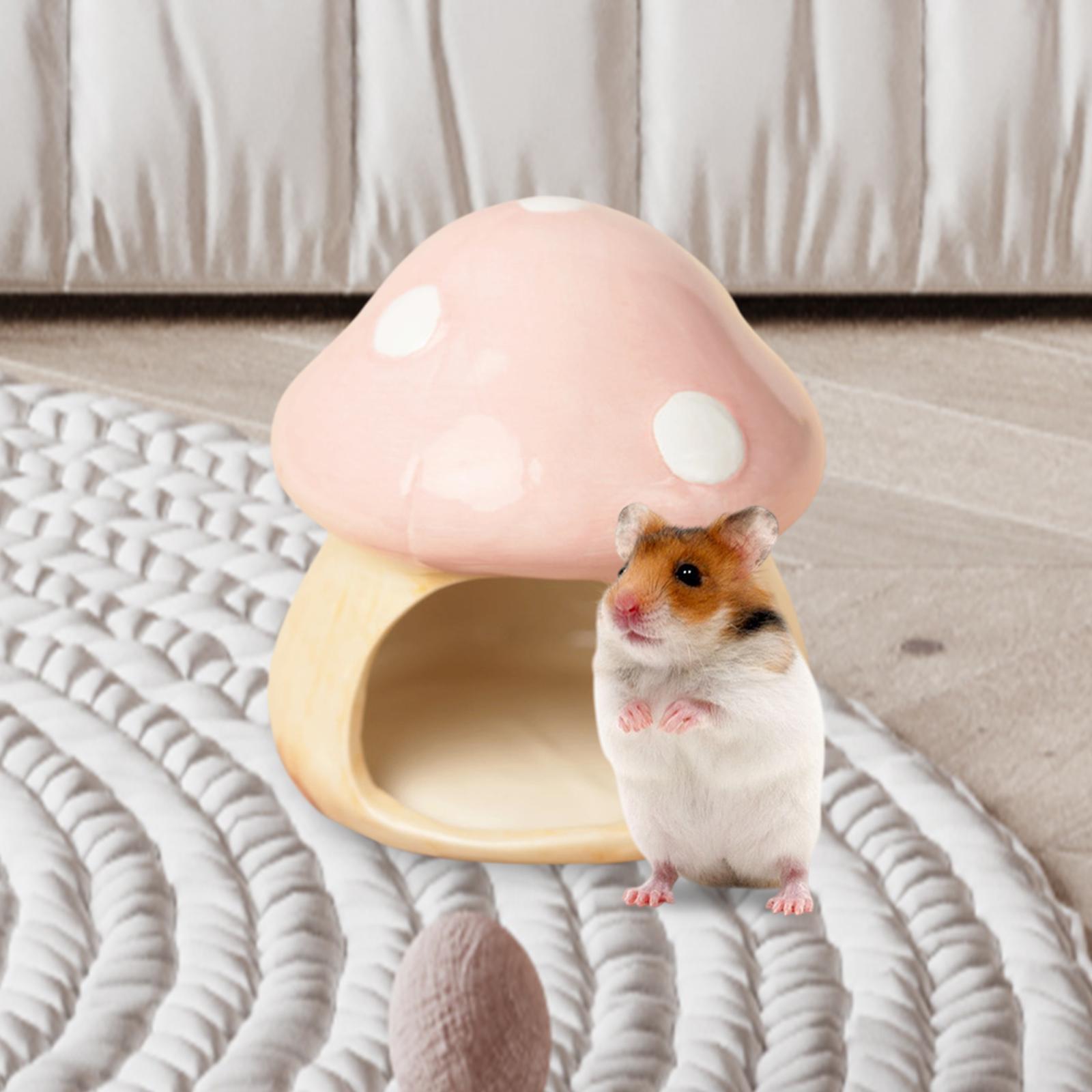 Ceramic Mushroom Hamster Hideo – Hide Cave Ceramic recenzja i cena
