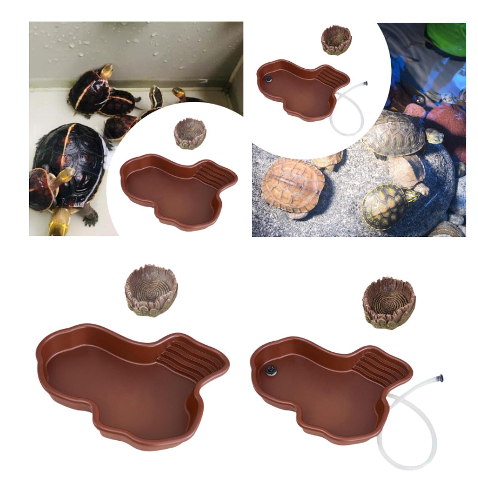 Reptile Feeding Dish Reptile B – Water Dish Reptile recenzja i cena